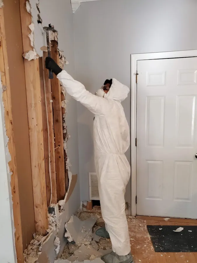 Water Damage Restoration services in Bellevue, WI
